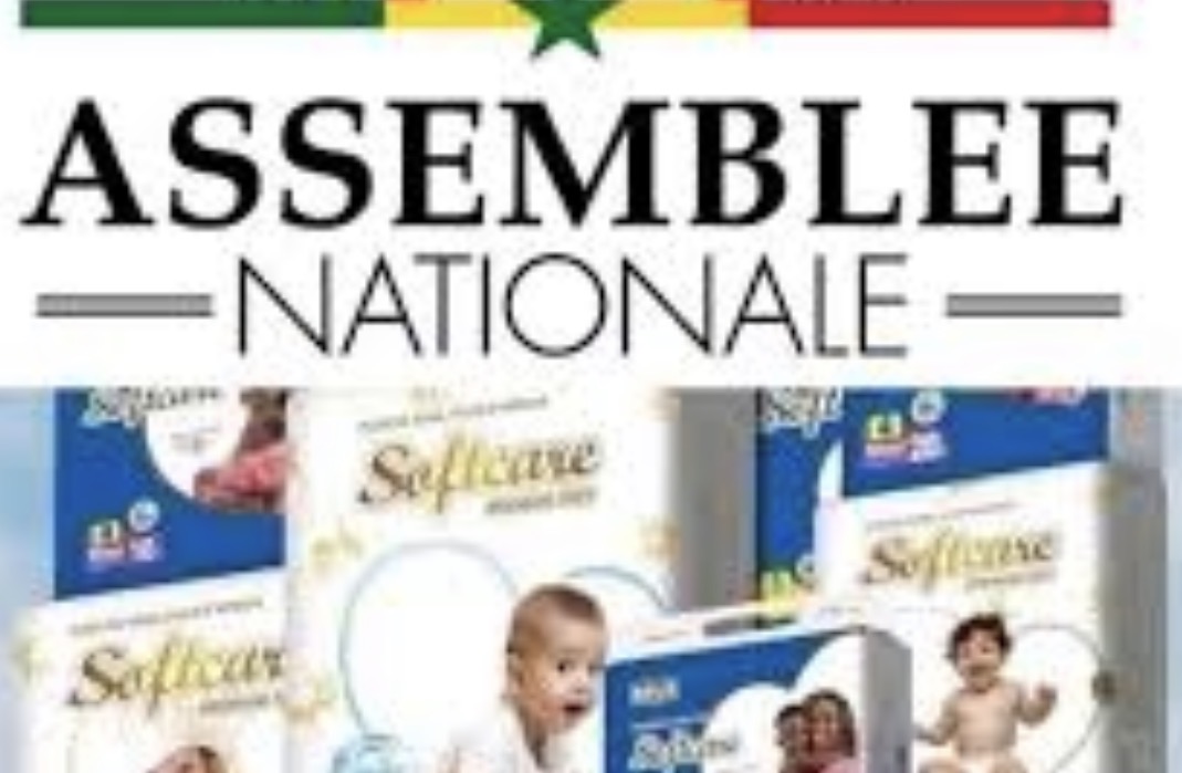 Affaire Softcare : les députés passent à l’action…