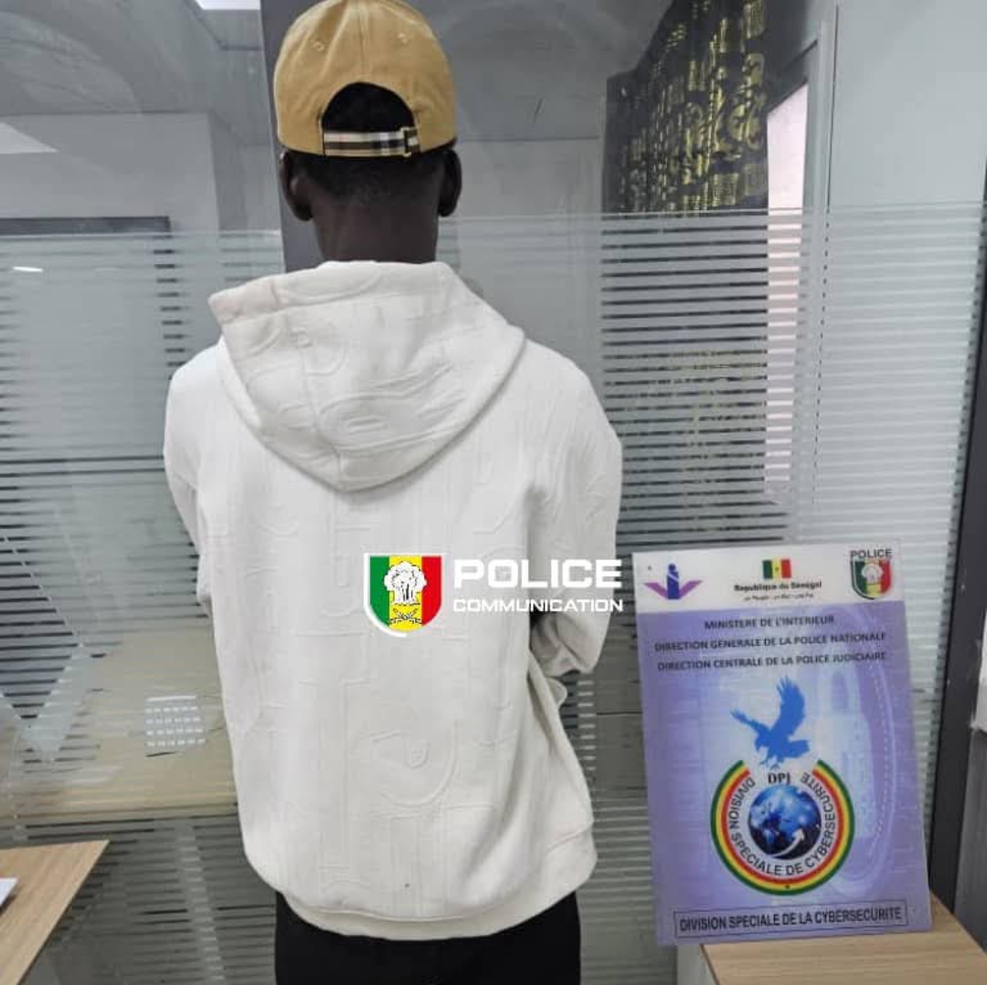 Cybercriminalité : un prédateur numérique interpellé