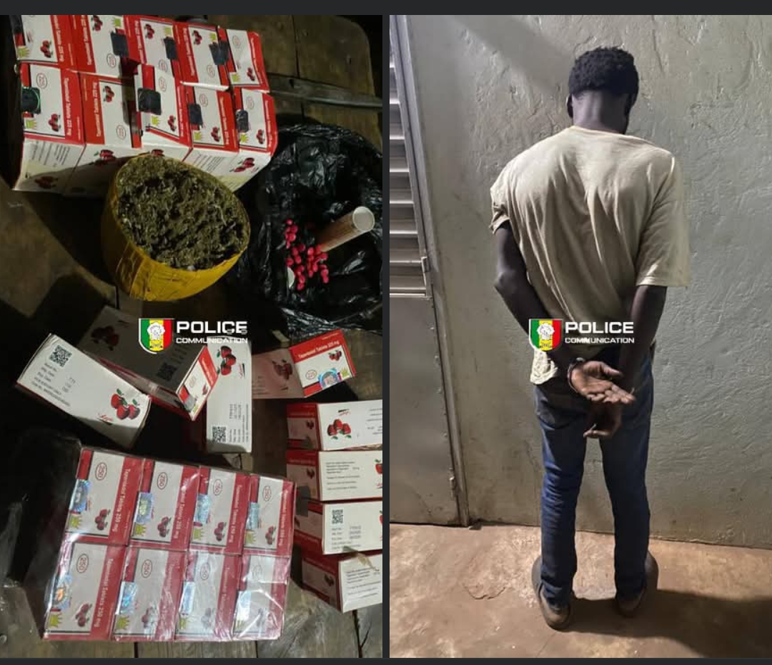 Kédougou : un trafiquant de stupéfiants interpellé par l’OCRTIS