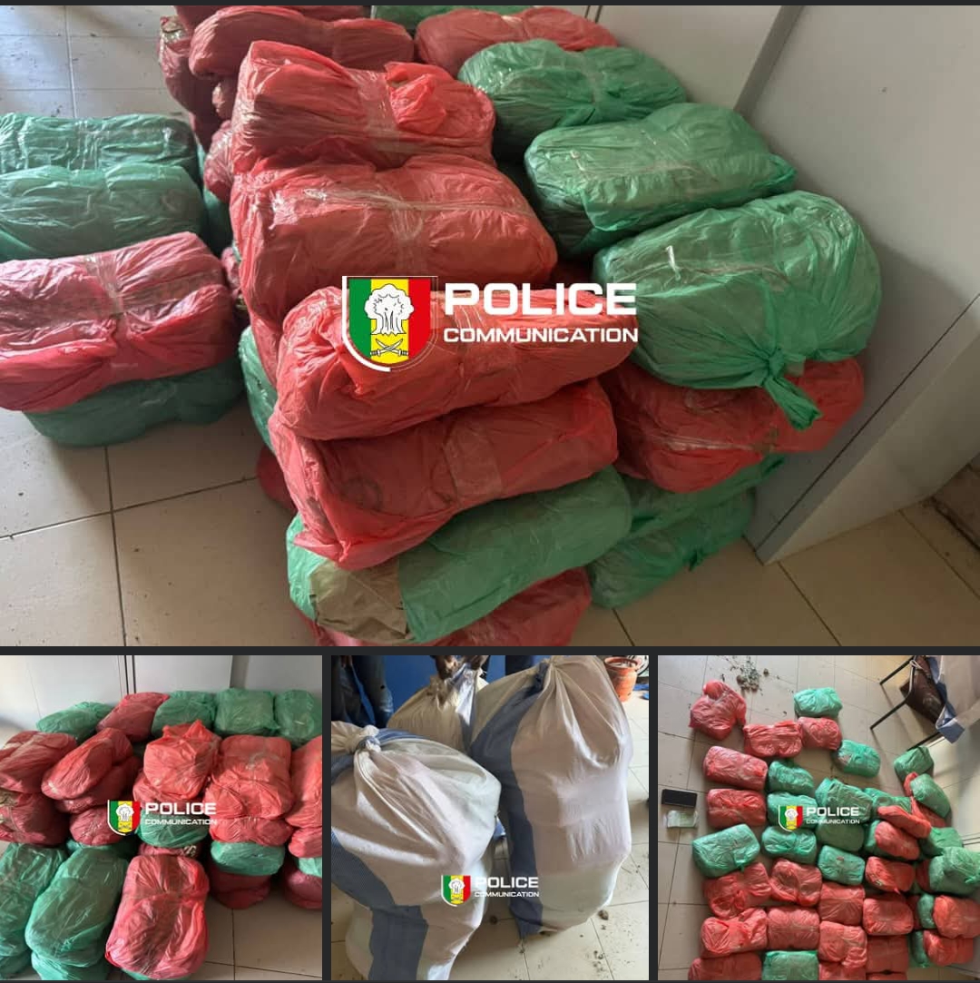Trafic de drøgue : importante saisie de 56 kg de chanvre indien à Dakar