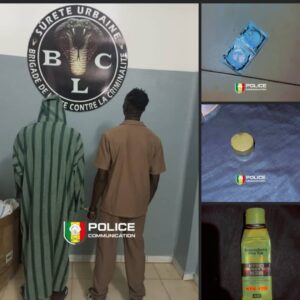 Interpellation de deux individus pour cybercrīminalité, vol et actes contre nature