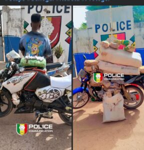 Kolda : plus de 44 kg de chanvre indien saisis lors de deux opérations policières