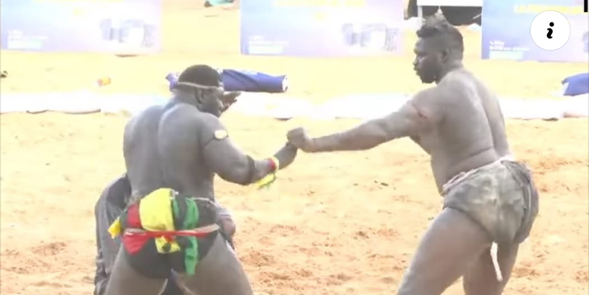 Arène nationale : Franc bat Tapha Tine, regardez la très belle chute (vidéo)