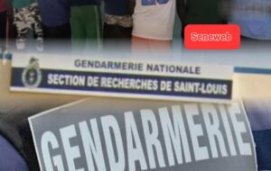 Huit présumés h0mosexuels, dont deux porteurs du VIH arrêtés : De nouvelles révélations sur le réseau démantelé par la SR de Saint-Louis