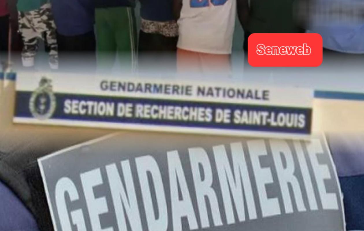 Huit présumés h0mosexuels, dont deux porteurs du VIH arrêtés : De nouvelles révélations sur le réseau démantelé par la SR de Saint-Louis