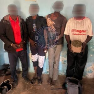 Sédhiou : cinq individus arrêtés avec 5 kg de chanvre indien