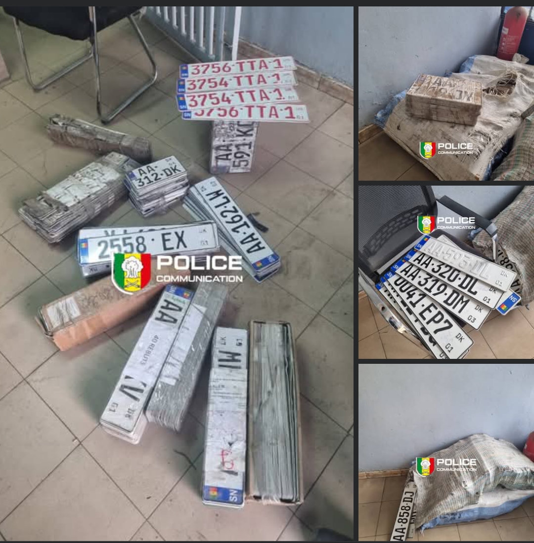 Bel-Air : un individu interpellé pour recel de 897 plaques minéralogiques falsifiées