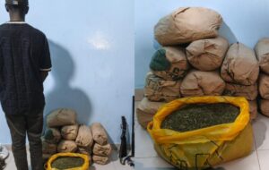 Sédhiou : saisie de 21 kg de chanvre indien et d’armes à feu