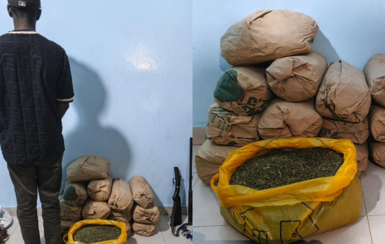 Sédhiou : saisie de 21 kg de chanvre indien et d’armes à feu