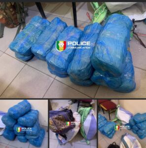 Fatick : 23 kg de chanvre indien saisis, les trafiquants en fuite