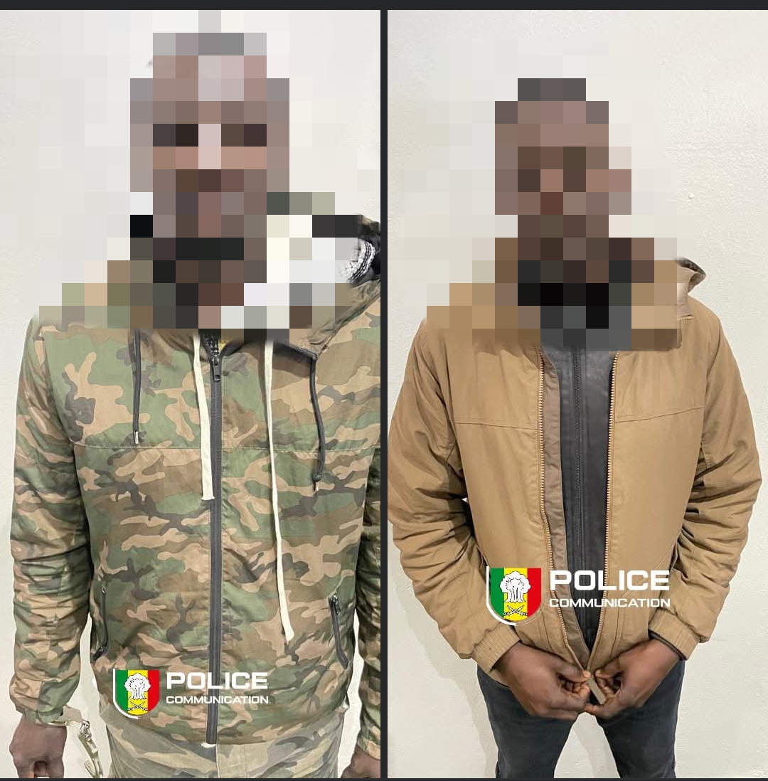 Deux individus interpellés pour escroquerie au visa Schengen et faux documents