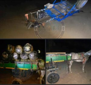 Saisie spectaculaire à Warang : 600 kg de chanvre indien débarqués d’une pirogue