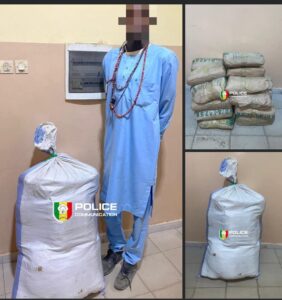 Échec au narcotrafic : le « convoi de la drogue » stoppé net à l&rsquo;entrée de Kaolack.