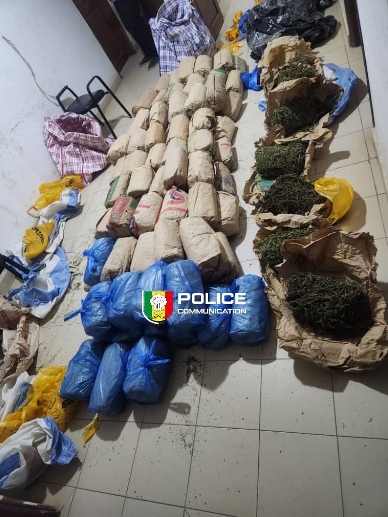 Niacoulrab : 108 kg de chanvre indien saisis, deux trafiquants arrêtés