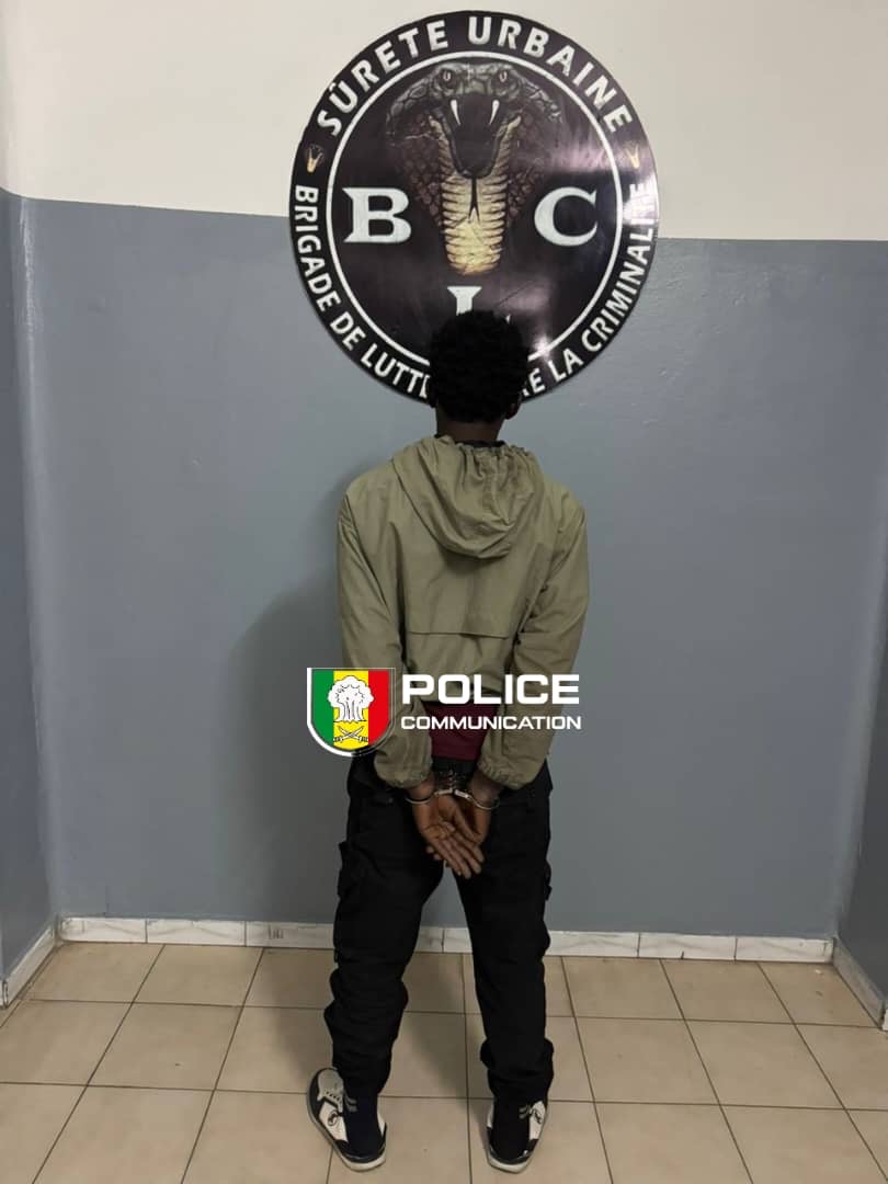 Vidéo virale : le chauffeur qui roulait sur le trottoir arrêté