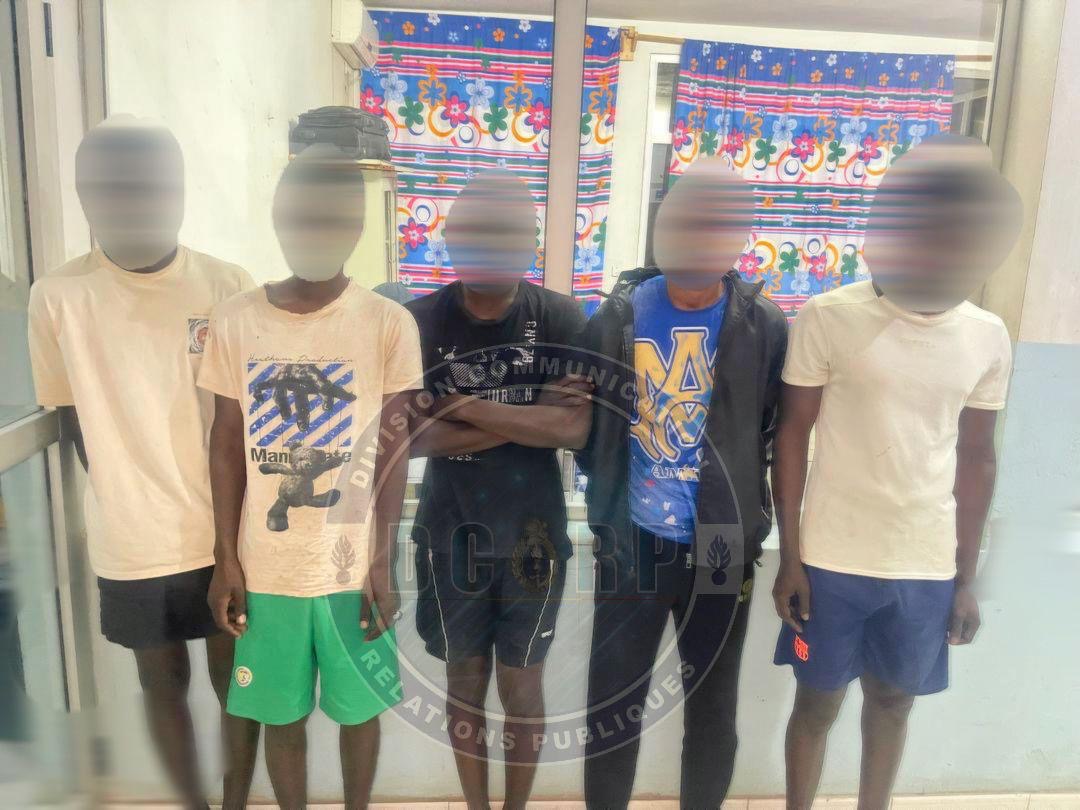 Trafic de drögue : la Gendarmerie frappe fort avec plus de 800 kg saisis. Découvrez les accusés