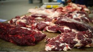 Viande de chien à Dakar : Nouveau scandale alimentaire après l’affaire des brochettes de chat