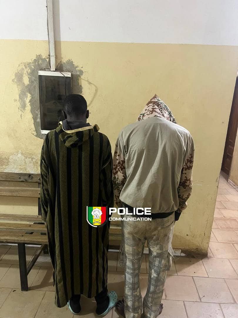 Rufisque : deux individus arrêtés pour vente de viande impropre à la consommation