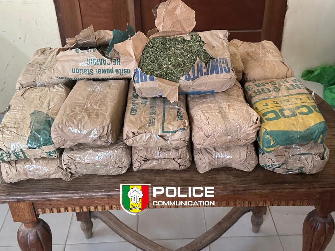 Saly : Saisie de 23 kg de chanvre indien après une course-poursuite