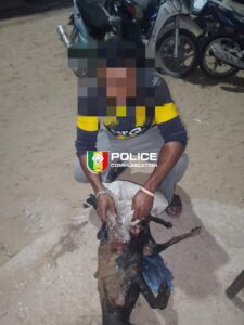 Guédiawaye : Un individu déféré pour avoir tenté de cuisiner un chien errant