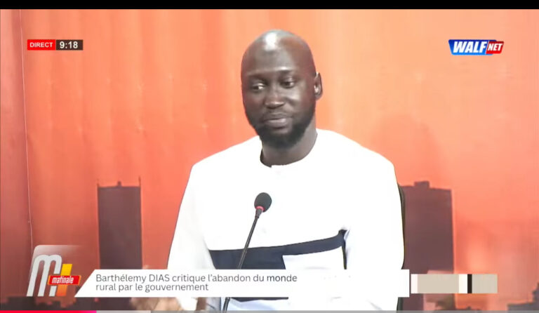(Vidéo)- Pape Ndiaye Walf : «Zale Mbaye a cité le nom de fou sur… »