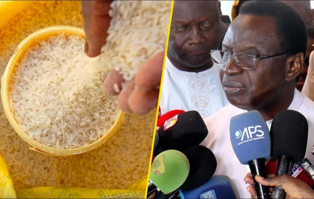 Promotion du riz sénégalais : l’État accorde une réduction de 2 500 FCFA par sac…
