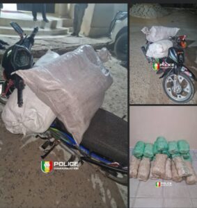 Kaolack : 23 kg de chanvre indien saisis, le trafiquant en fuite