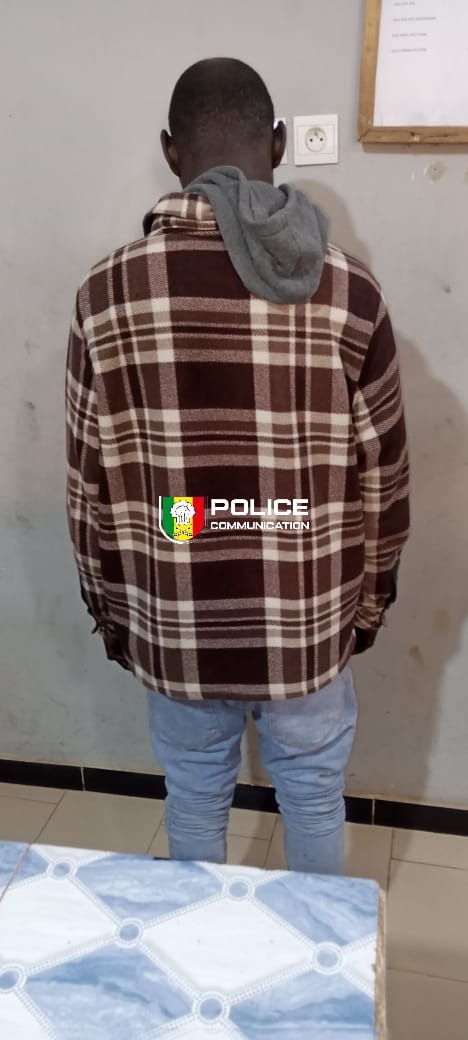 Diamaguène Sicap Mbao : une bande de voleurs de bétail démantelée en pleine nuit