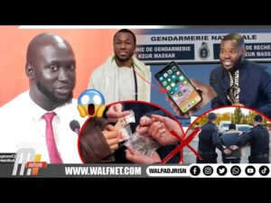 (Vidéo) – Pape Ndiaye Walf : « Il y aura d&rsquo;autres arrestations dont les Sénégalais seront choqués »