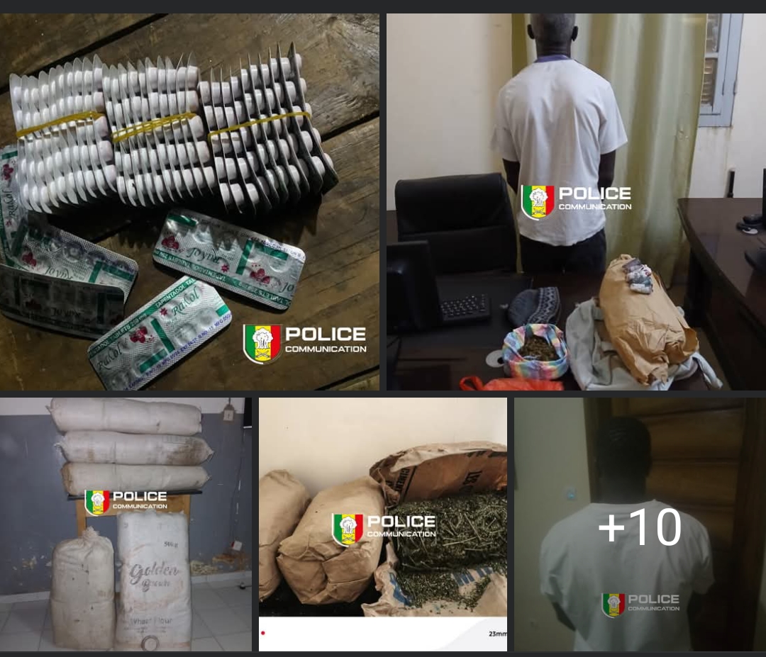 Drøgues : Vaste coup de filet de la police, plusieurs réseaux démantelés