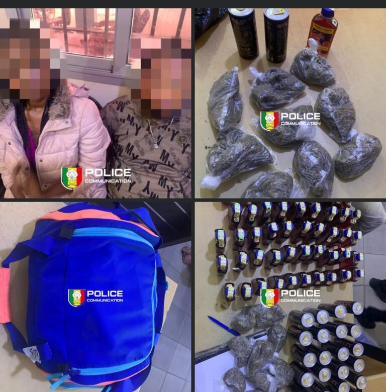 Fatick : Trafic international démantelé, saisie de « Skunk » et d’alcool à la frontière