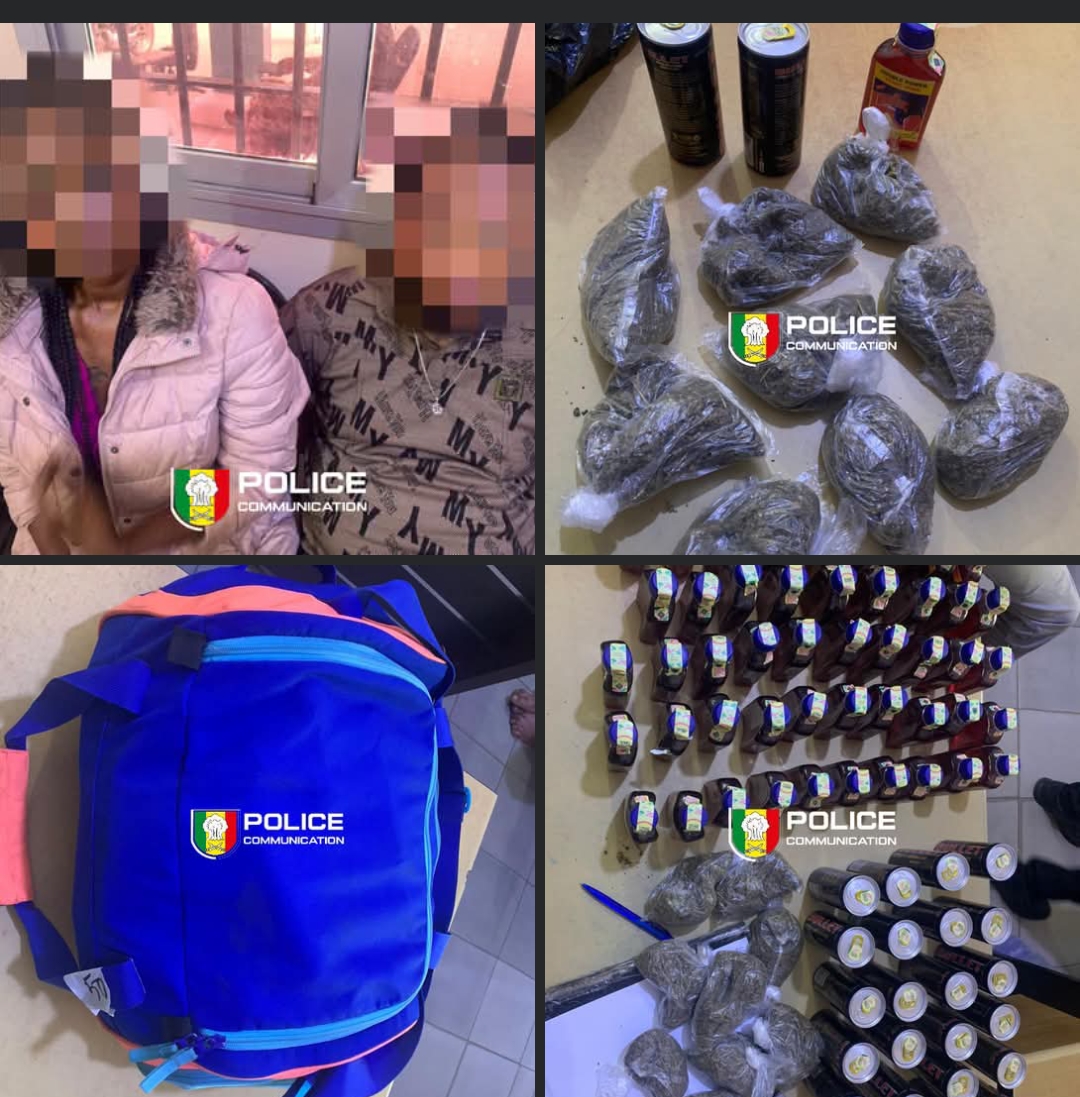 Fatick : Trafic international démantelé, saisie de « Skunk » et d’alcool à la frontière