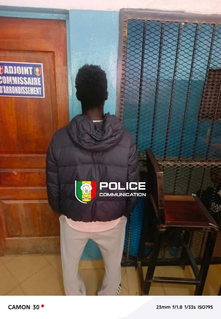 Vol de bétail à Grand Yoff : Le suspect confondu par les caméras et déféré au parquet