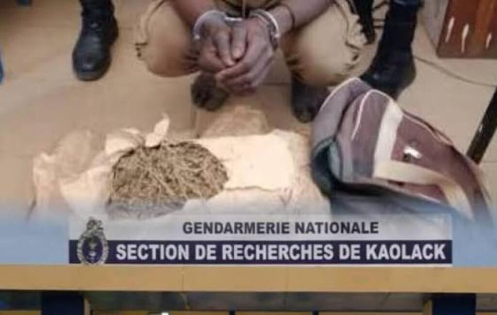 Trafic de chanvre sur la Transgambienne : deux suspects arrêtés, 12 kg saisis