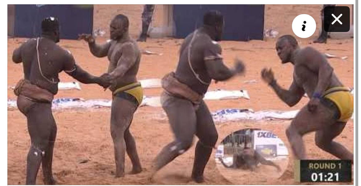 Arène nationale : Sa Thiès bat Modou Lo et devient le Roi des Arènes, voici la chute (vidéo)
