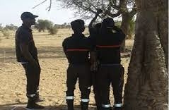 Homme retrouvé pëndu à Linguère : ce que révèle les premières informations…