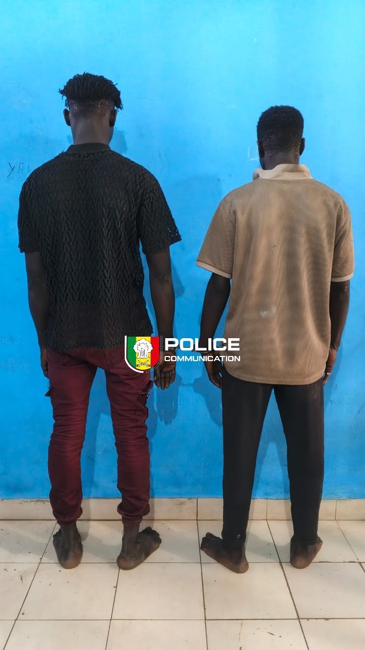 Jaxaay : deux individus interpellés pour une série de vols de batteries de véhicules