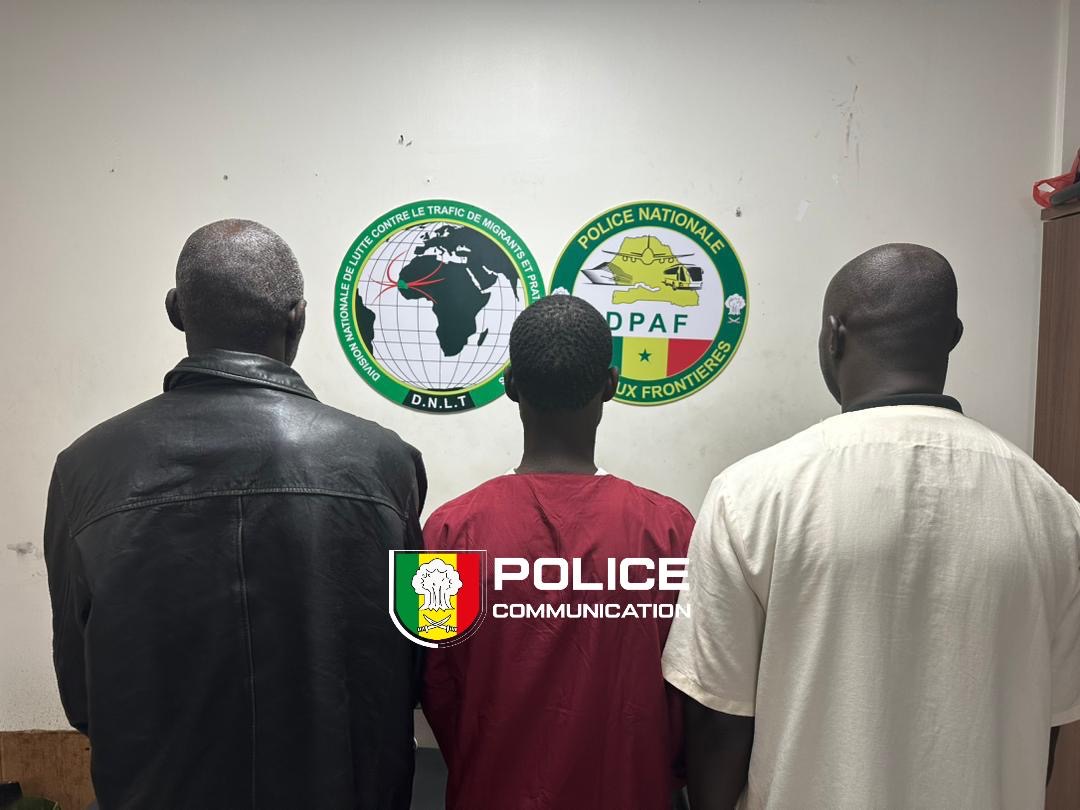 Escroquerie au visa, faux billets…un vaste réseau criminel tombe à Dakar