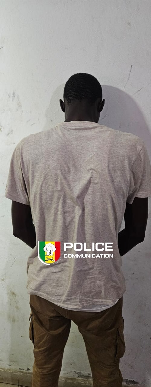 La police des HLM fait tomber des trafiquants de « Kush ».