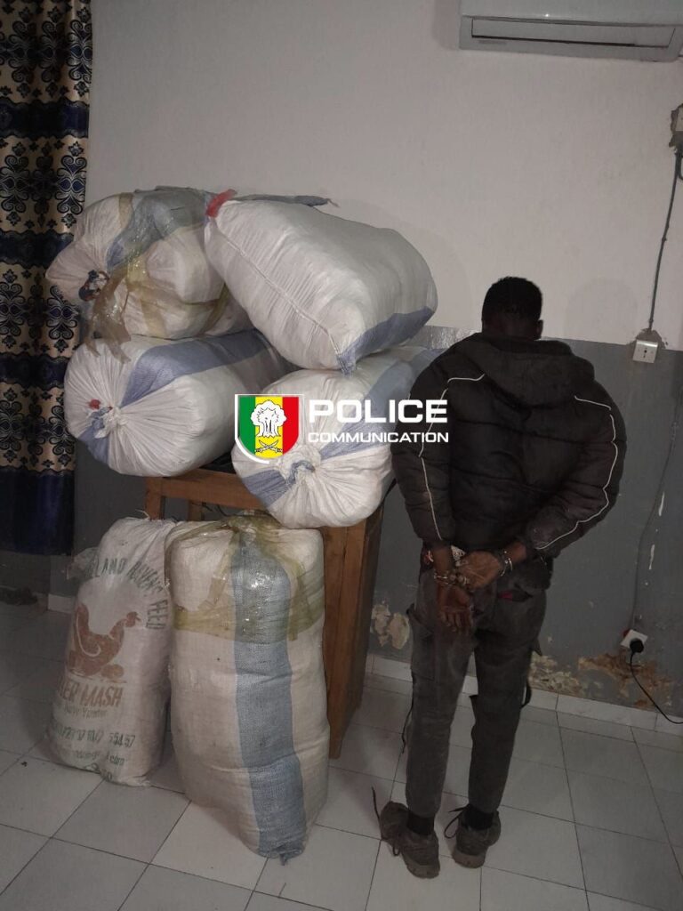 Sédhiou : 114 kg de chanvre indien saisis après une course-poursuite nocturne
