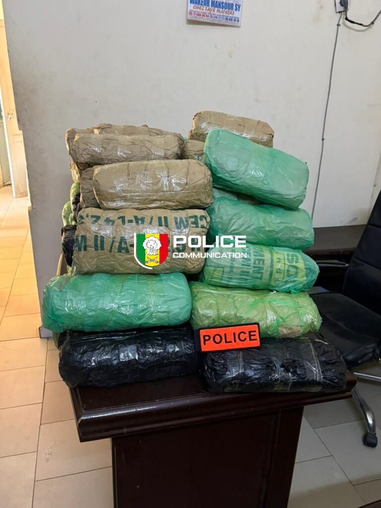 Karang : 63 kg de chanvre indien saisis par…