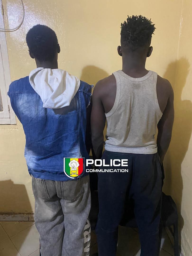 Arrestation de deux chefs de gangs à Kolda : la Sûreté urbaine frappe un grand coup