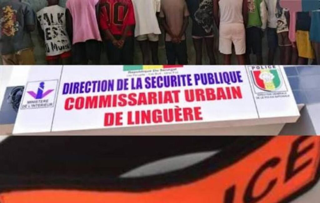 Linguère : 25e arrestation dans l’affaire du réseau présumé homosexuel…