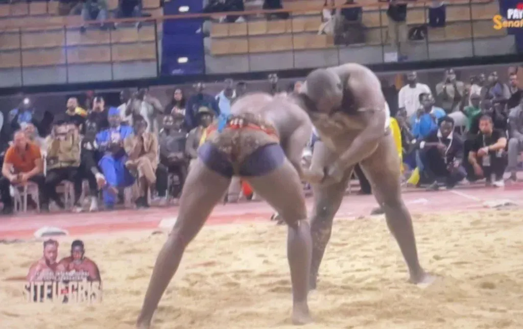 Lamb en France : Gris Bordeaux bat Siteu, c’est terminé au Dojo de Paris (vidéo)