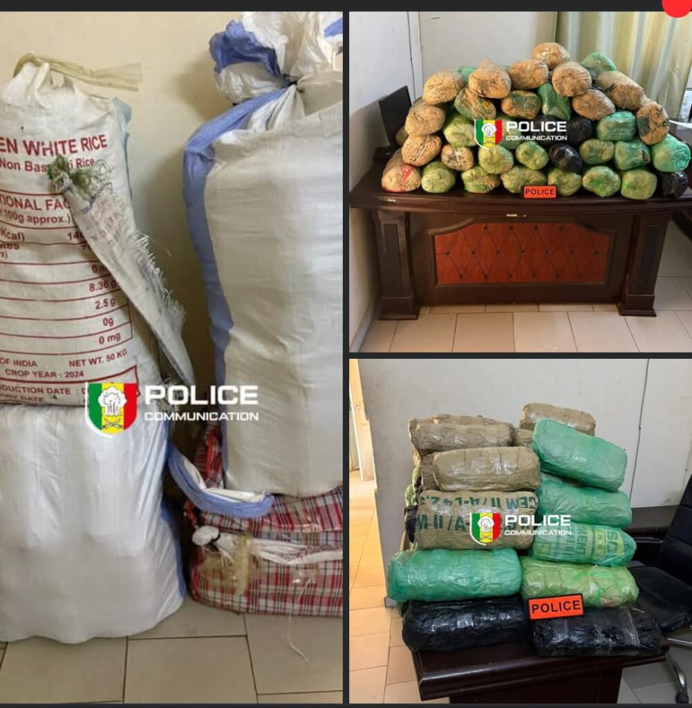 Fatick : Les narco-piétons traqués en pleine nuit, 63 kg de drøgue abandonnés dans la brousse !