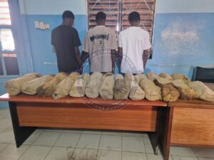 Petit Mbao : 26 kg de chanvre indien saisis, trois trafiquants arrêtés