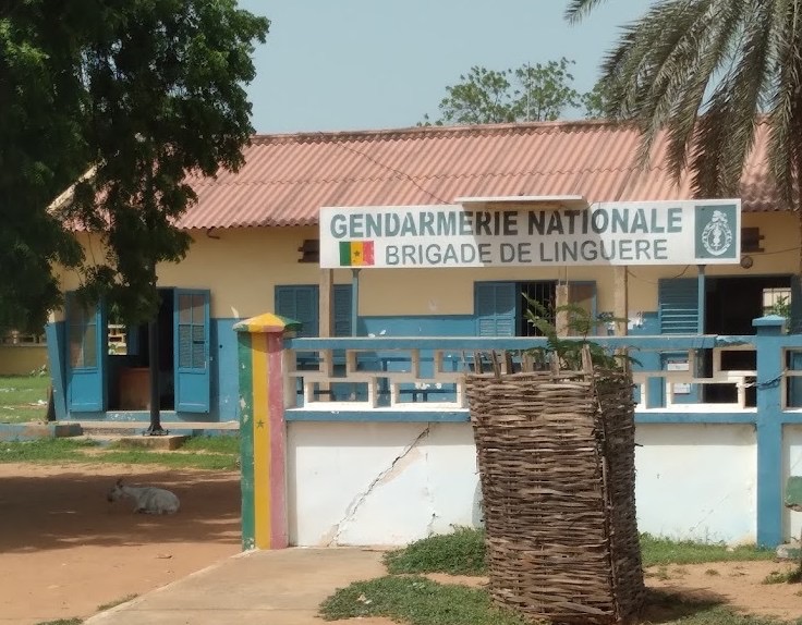 Linguère : des hommes armés attaquent une boutique et blessent un commerçant à Barkedji…
