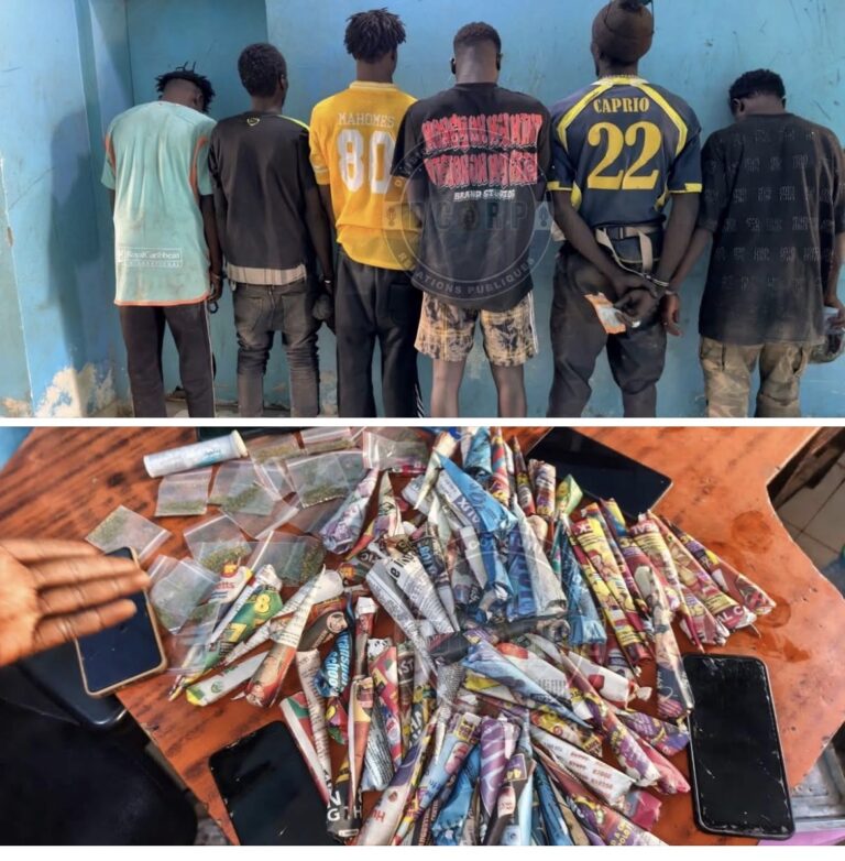 Diamniadio : Saisie de chanvre indien et de kush, 6 personnes arrêtées par la gendarmerie