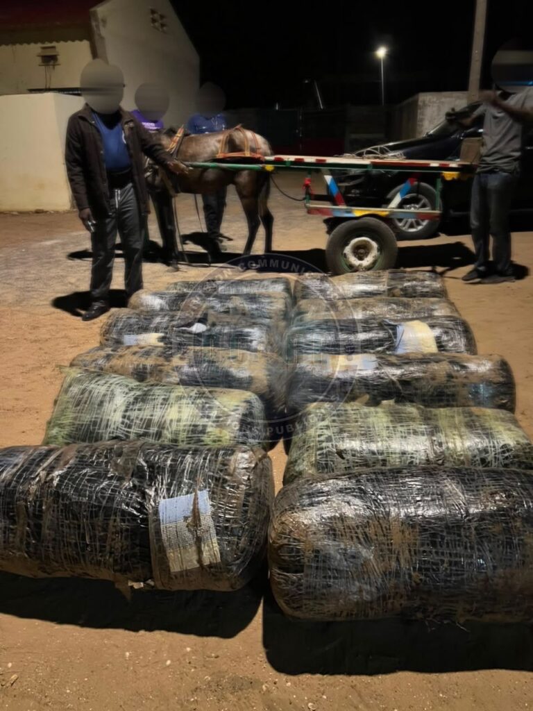 Lutte contre le trafic de drogue : 360 kg de chanvre indien saisis à Joal