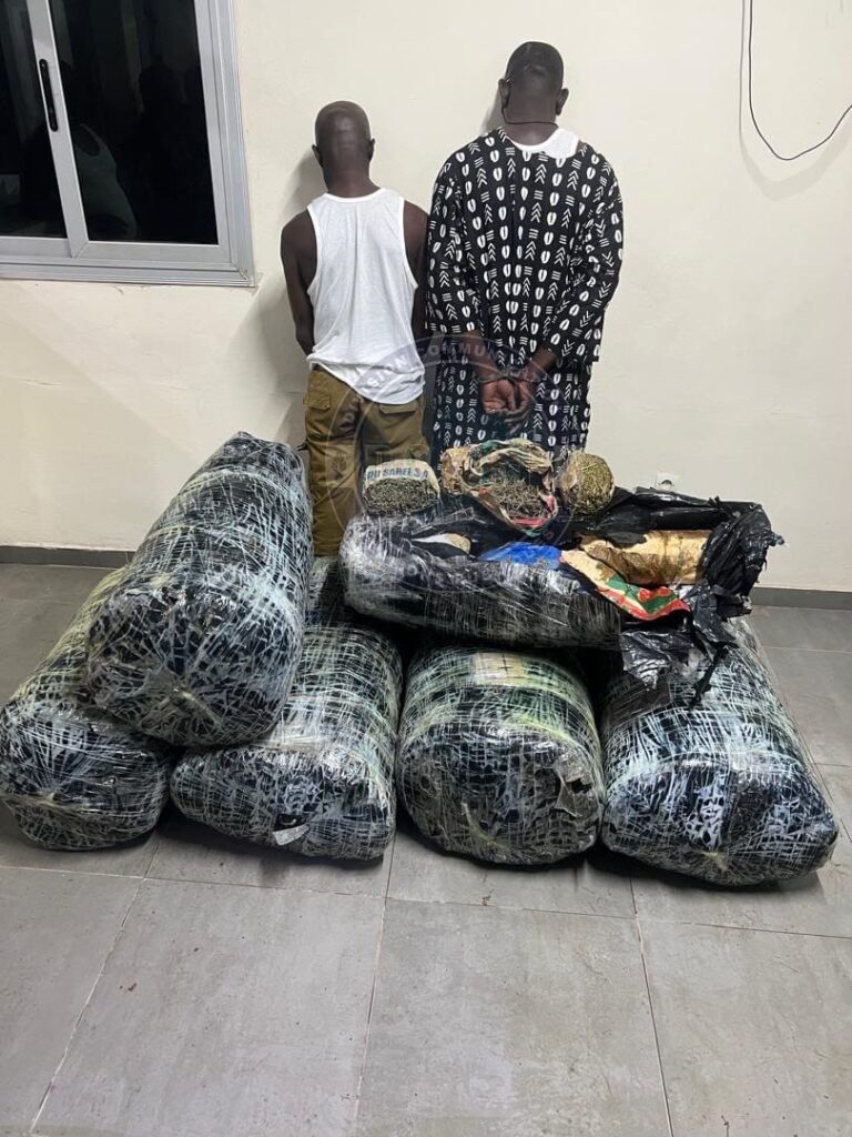 Trafic de drøgue : plus de 300 kg de chanvre indien saisis à Thiaroye